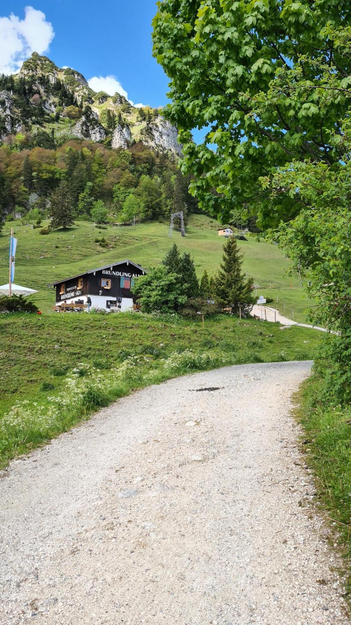 Bruendling-Alm Berggasthof Auf 1167M Auf Dem Hochfelln Берґен Екстер'єр фото